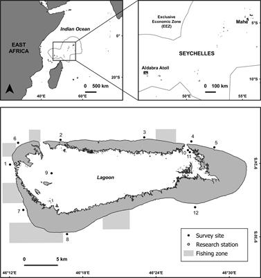 Impacts of coral bleaching on reef fish abundance, biomass and assemblage structure at remote Aldabra Atoll, Seychelles: insights from two survey methods